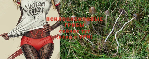 PSILOCYBIN Ступино